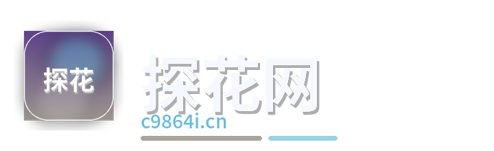 探花网